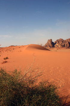 Désert de Jordanie