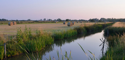 Marais poitevin