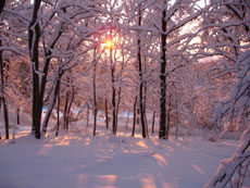 Soleil levant sur la neige