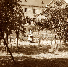 Soeur dans le jardin du Carmel