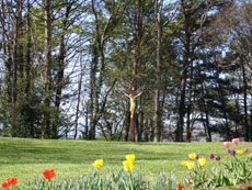 Christ dans le jardin du Carmel