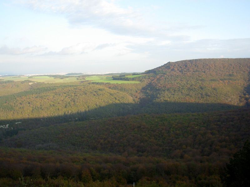 â€¦ aprÃ¨s un chemin qui monte Ã  travers bois